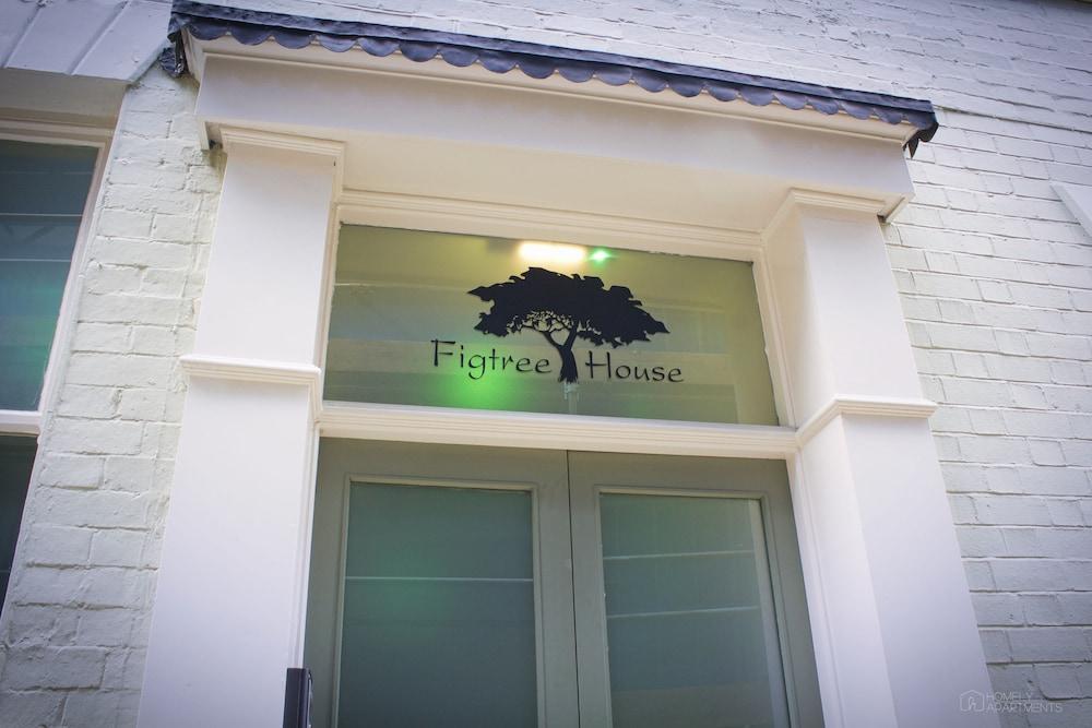 Homely Serviced Apartments - Figtree Property Grounds