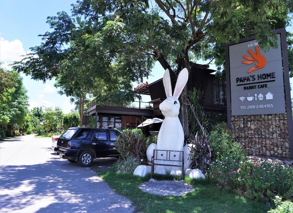 Papa's Home and Rabbit cafe
